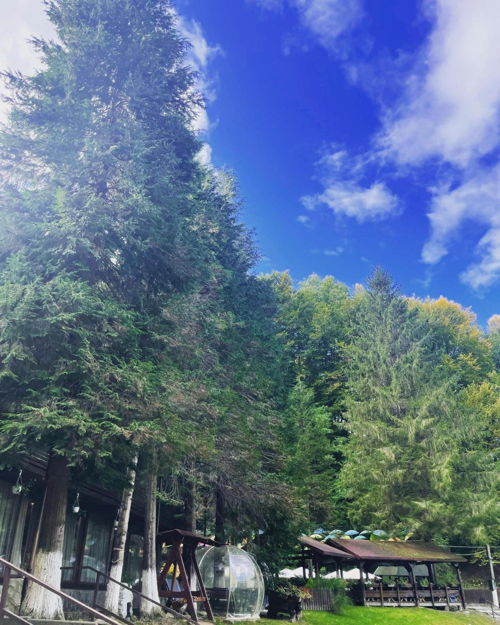 Valea Lui Liman Hotel Tomesti  Luaran gambar