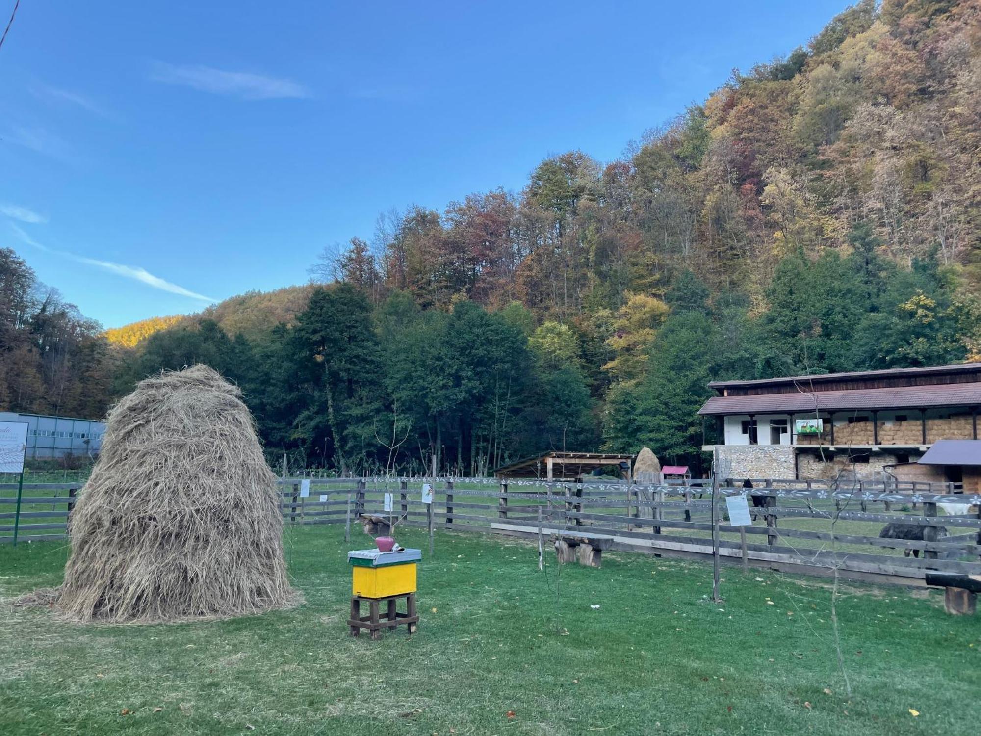 Valea Lui Liman Hotel Tomesti  Luaran gambar